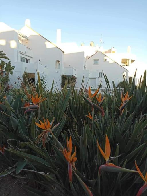 First Line Beach-amazing Seaview - La Duquesa-estepona Apartment *